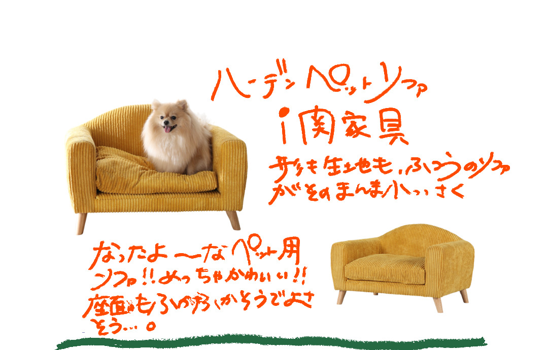 ペット用品の写真と青の手描き紹介