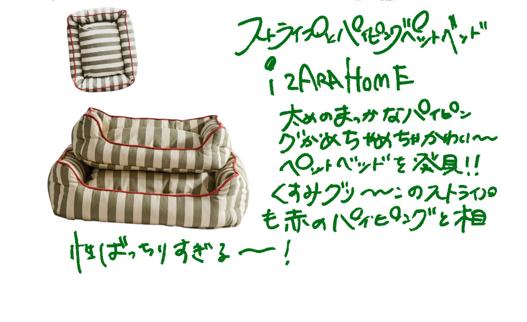 ペット用品の写真と青の手描き紹介