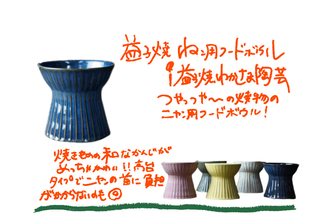 ペット用品の写真と青の手描き紹介